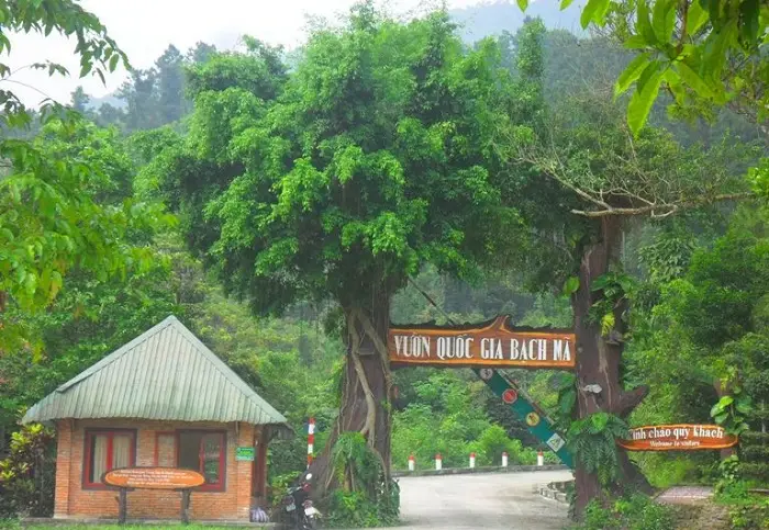 vuon-quoc-gia-bach-ma-hue-1