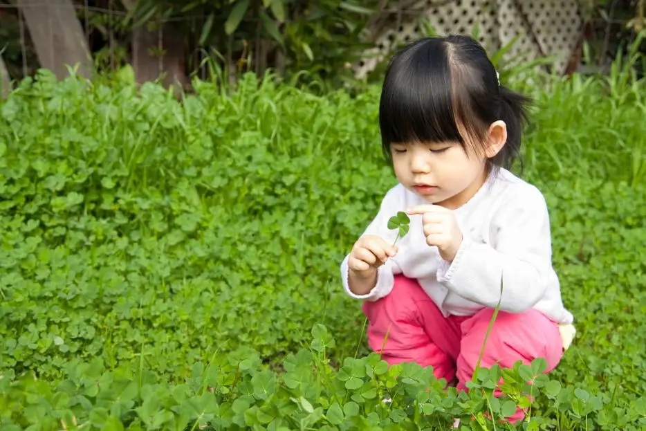 5 lý do vì sao giáo dục thiên nhiên đối với trẻ em cần thiế