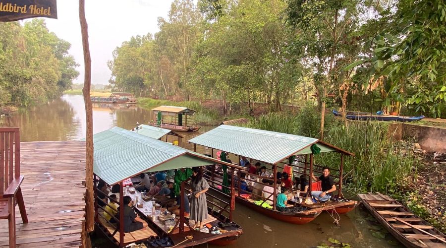 5 lý do phải trải nghiệm thiên nhiên tại Vườn Quốc gia Tràm Chim - Đồng Tháp