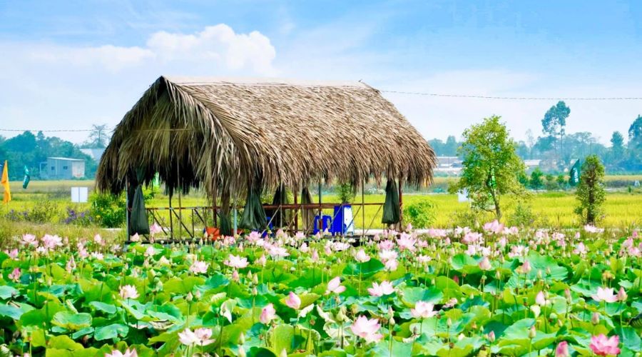 5 lý do phải trải nghiệm thiên nhiên tại Vườn Quốc gia Tràm Chim - Đồng Tháp