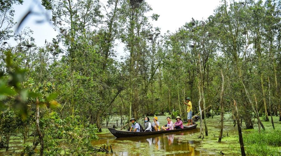 5 lý do phải trải nghiệm thiên nhiên tại Vườn Quốc gia Tràm Chim - Đồng Tháp