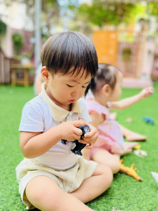 Chương Trình Học 'Tiếp Cận Thiên Nhiên' Dành Cho Trẻ Mầm Non: Bước Đầu Học Cách Yêu Thiên Nhiên