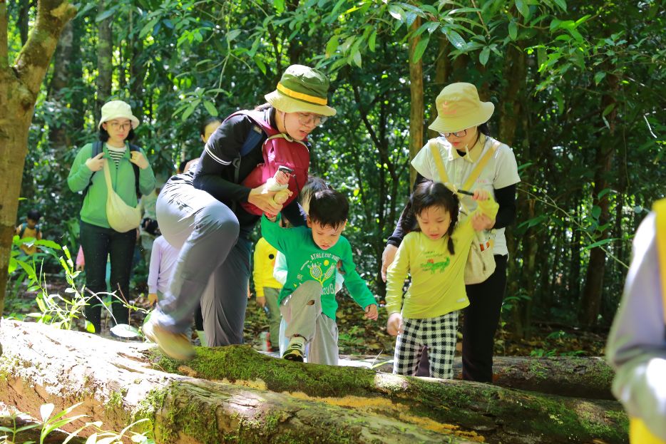 Chương Trình Học 'Tiếp Cận Thiên Nhiên' Dành Cho Trẻ Mầm Non: Bước Đầu Học Cách Yêu Thiên Nhiên