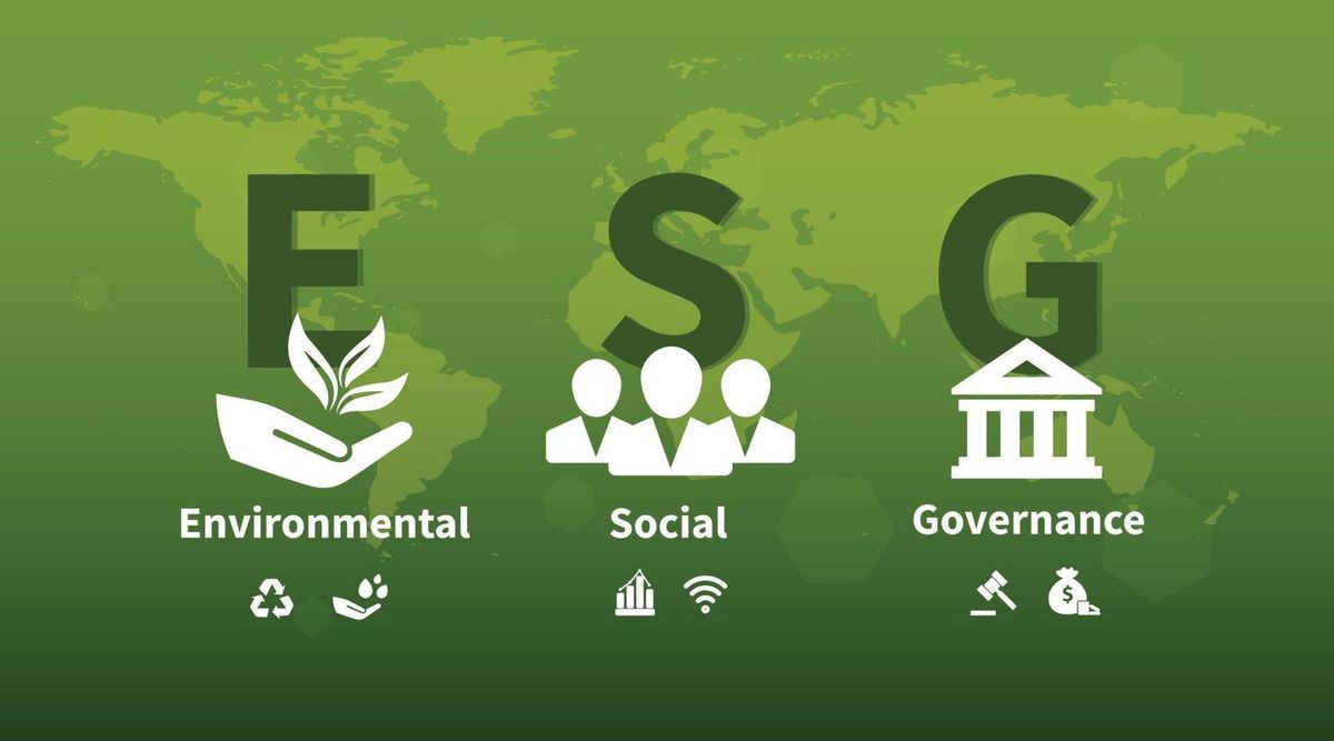 CSR khác gì ESG: Hướng dẫn lựa chọn chiến lược bền vững tối ưu cho doanh nghiệp B2B tại Việt Nam