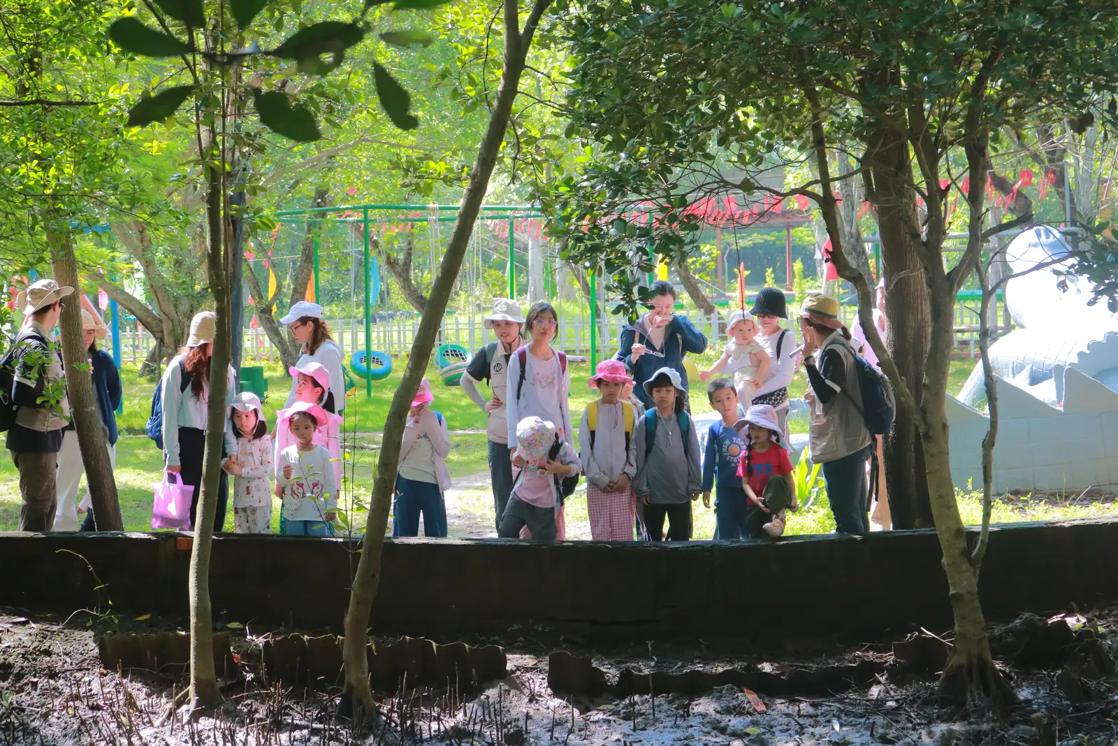 Kids Hub by WANEE – Cần Giờ 1 ngày Birding for Kids ở rừng ngập mặn