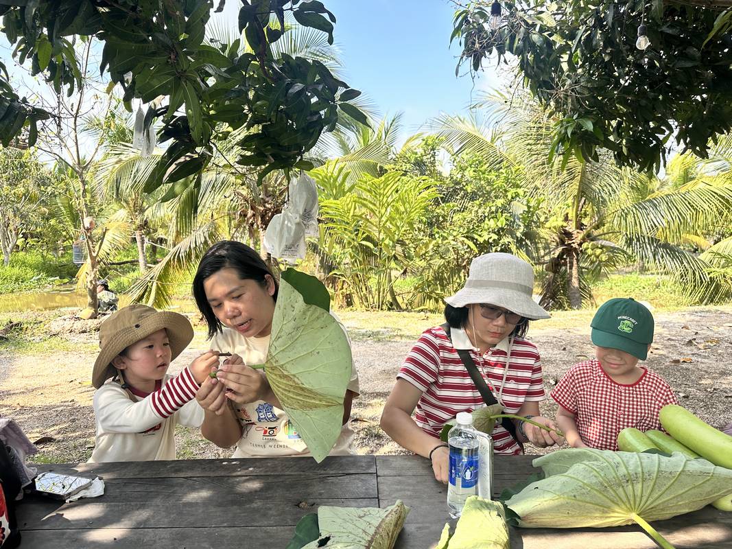 Khi thấy chiếc lá có nhiều lỗ nhỏ, trẻ tự hỏi điều gì đã tạo nên những dấu vết ấy