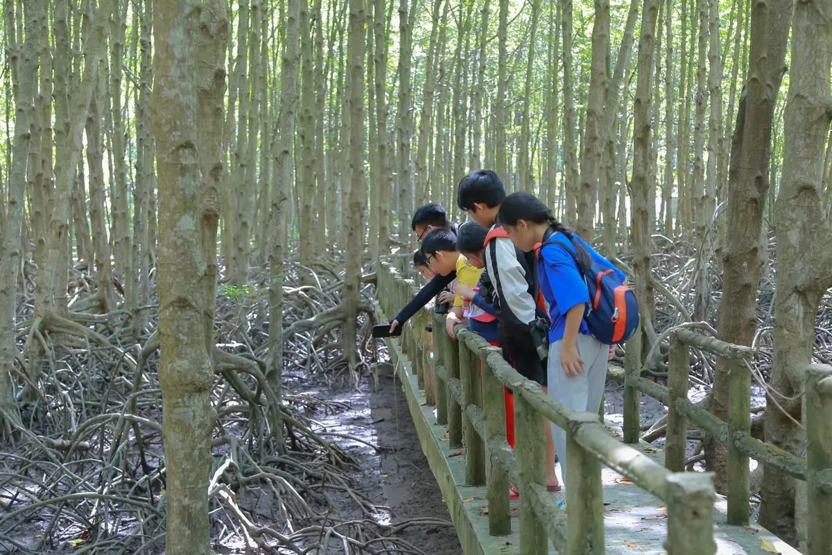 Birding for Kids 14.5 (272)